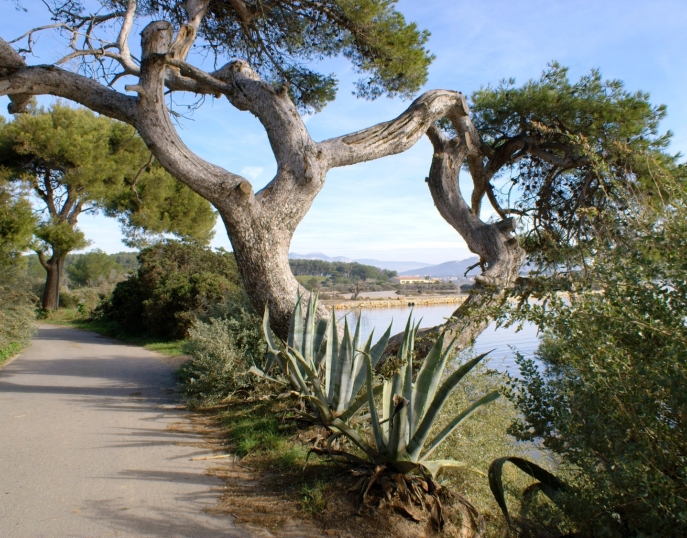 Provence séminaires et incentives Les îles Paul Ricard