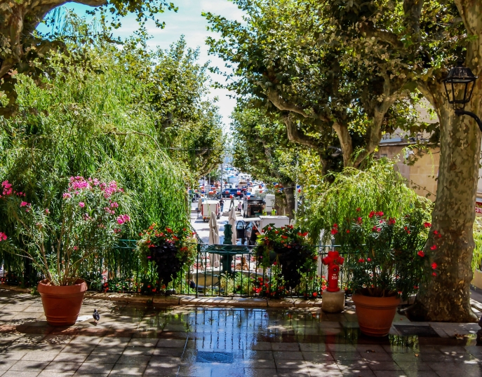 Provence séminaires et incentives Bandol