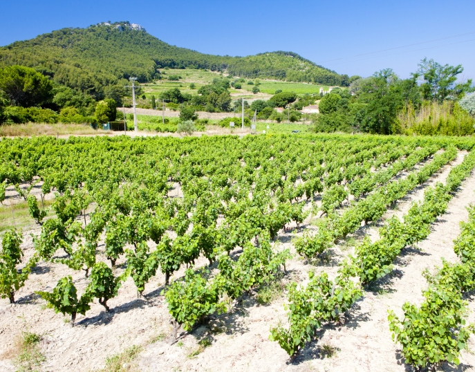 Provence séminaires et incentives Bandol