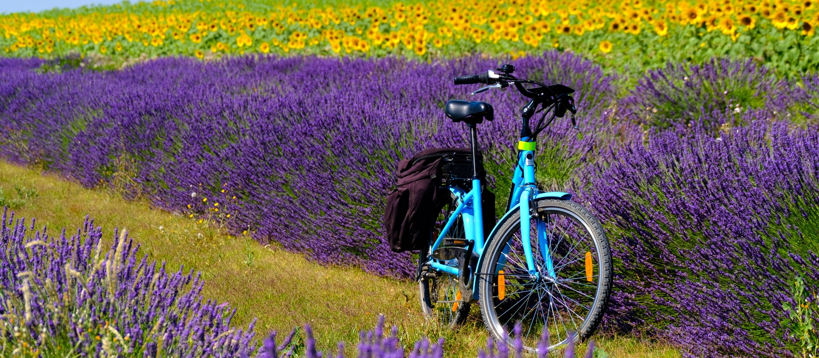 Provence-terre-119082617.jpeg provence-terre-119082617.jpeg