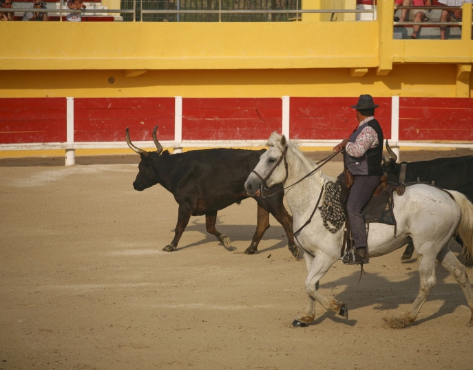 Provence séminaires et incentives Saintes-Maries-de-la-Mer