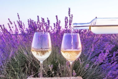 Provence séminaires et incentives bandol Provence séminaires et incentives Bandol