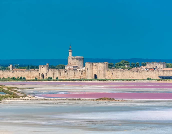 Provence séminaires et incentives Aigues-Mortes