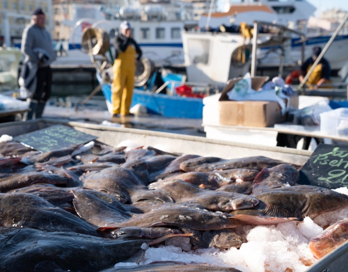 Provence séminaires et incentives Marseille - marché
