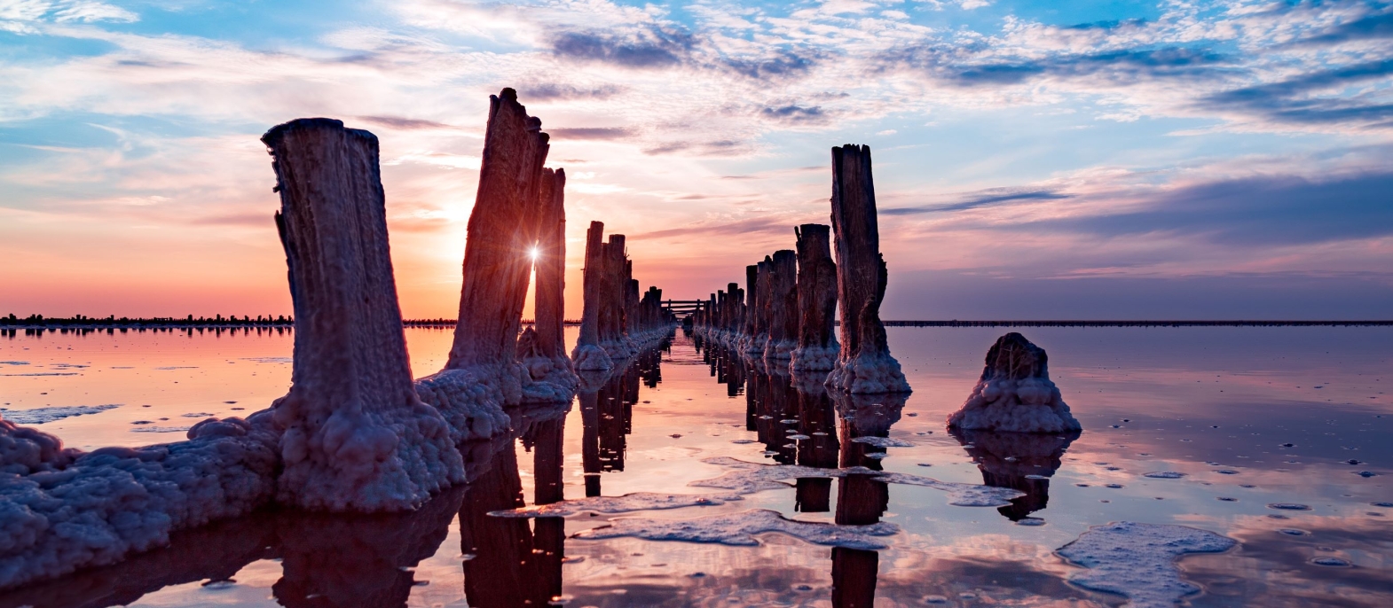 Provence séminaires et incentives camargue Provence séminaires et incentives Camargue