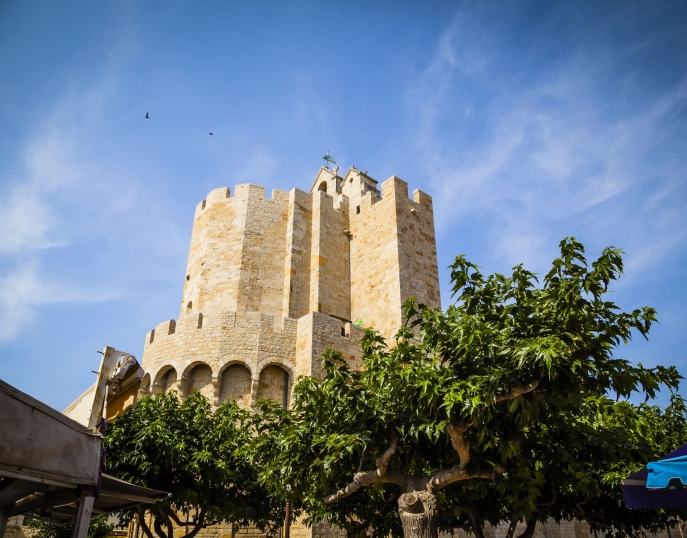 Provence séminaires et incentives Saintes-Maries-de-la-Mer