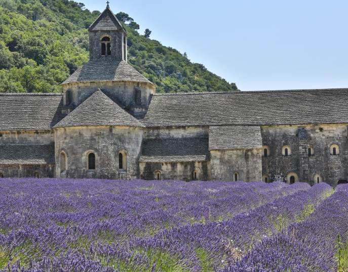 Provence séminaires et incentives Aix-en-Provence