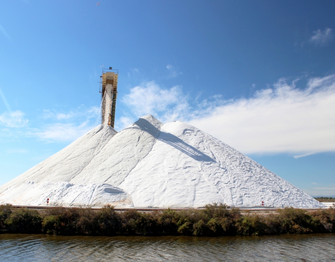 Provence séminaires et incentives Aigues-Mortes