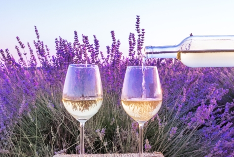 Provence séminaires et incentives bandol Provence séminaires et incentives Bandol