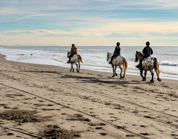 Provence séminaires et incentives Saintes-Maries-de-la-Mer