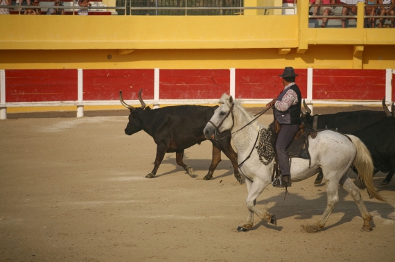 Provence séminaires et incentives Saintes-Maries-de-la-Mer