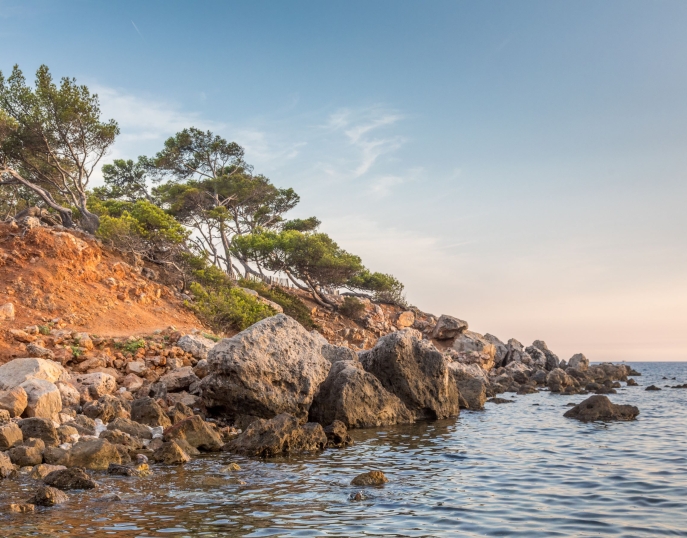 Provence séminaires et incentives Bandol